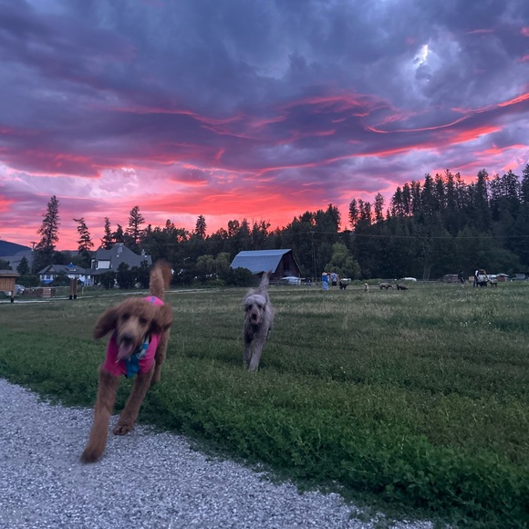 Meet your Posher, Alison - Picture 1 of 1